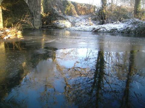 Ice on pool.JPG